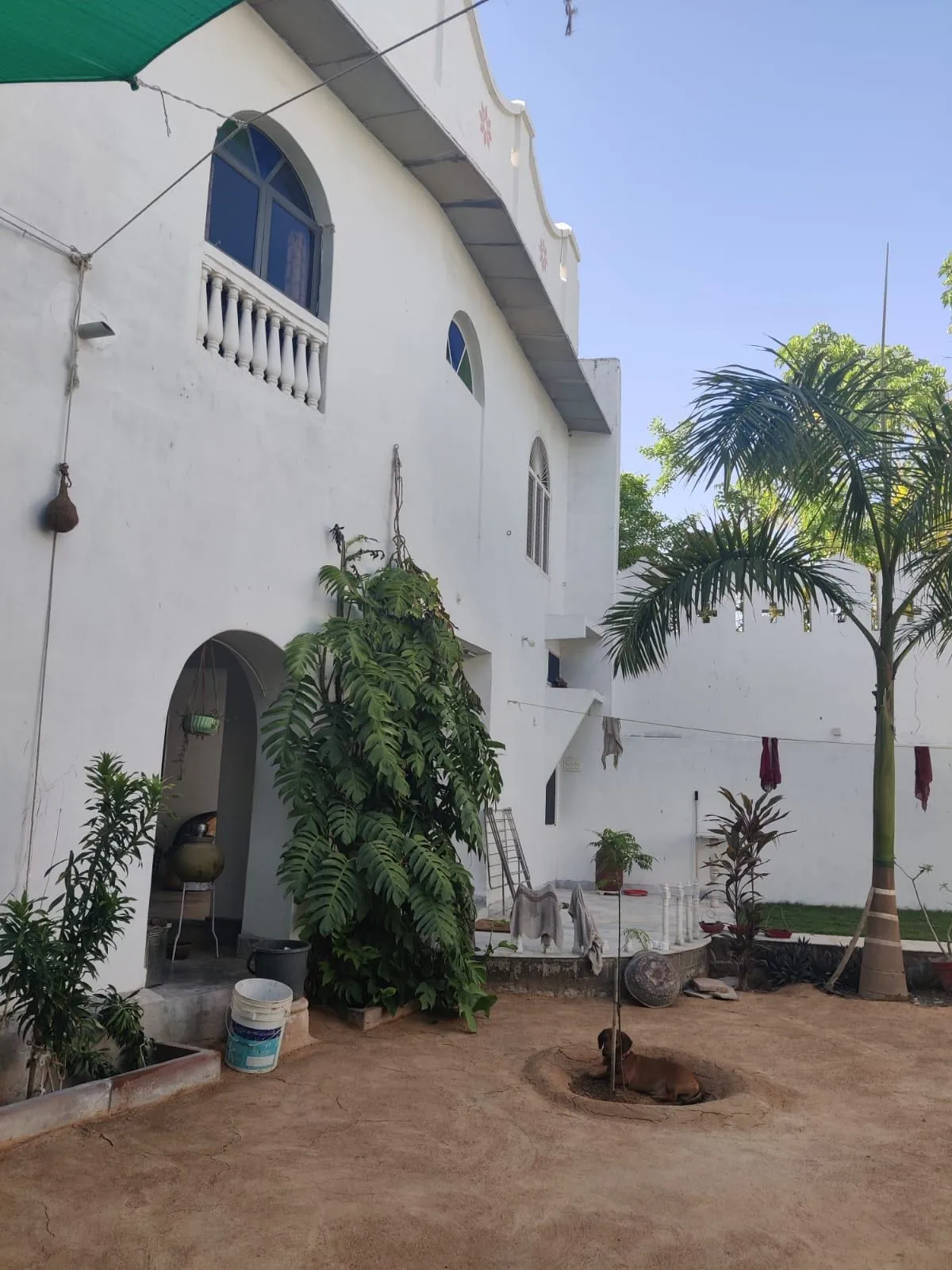 Morning light on the heritage manor at Rawla Bankli, chai set out on the terrace.
