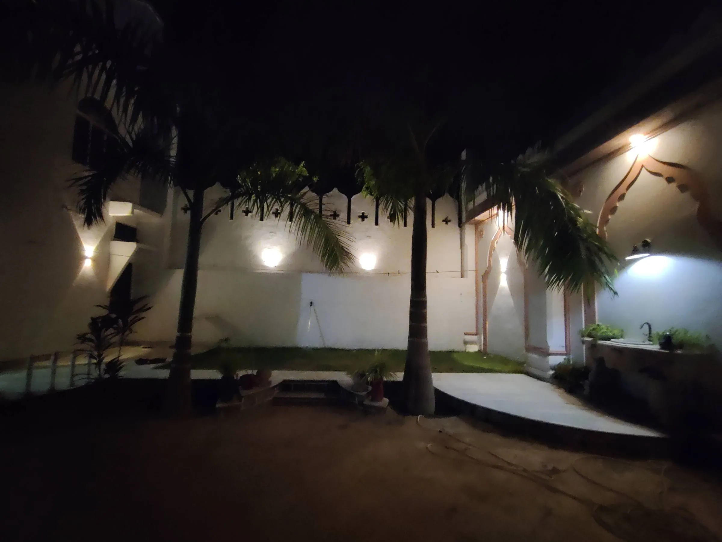 The inner courtyard after dark, young palms rising past lamplit white walls and a strip of lawn