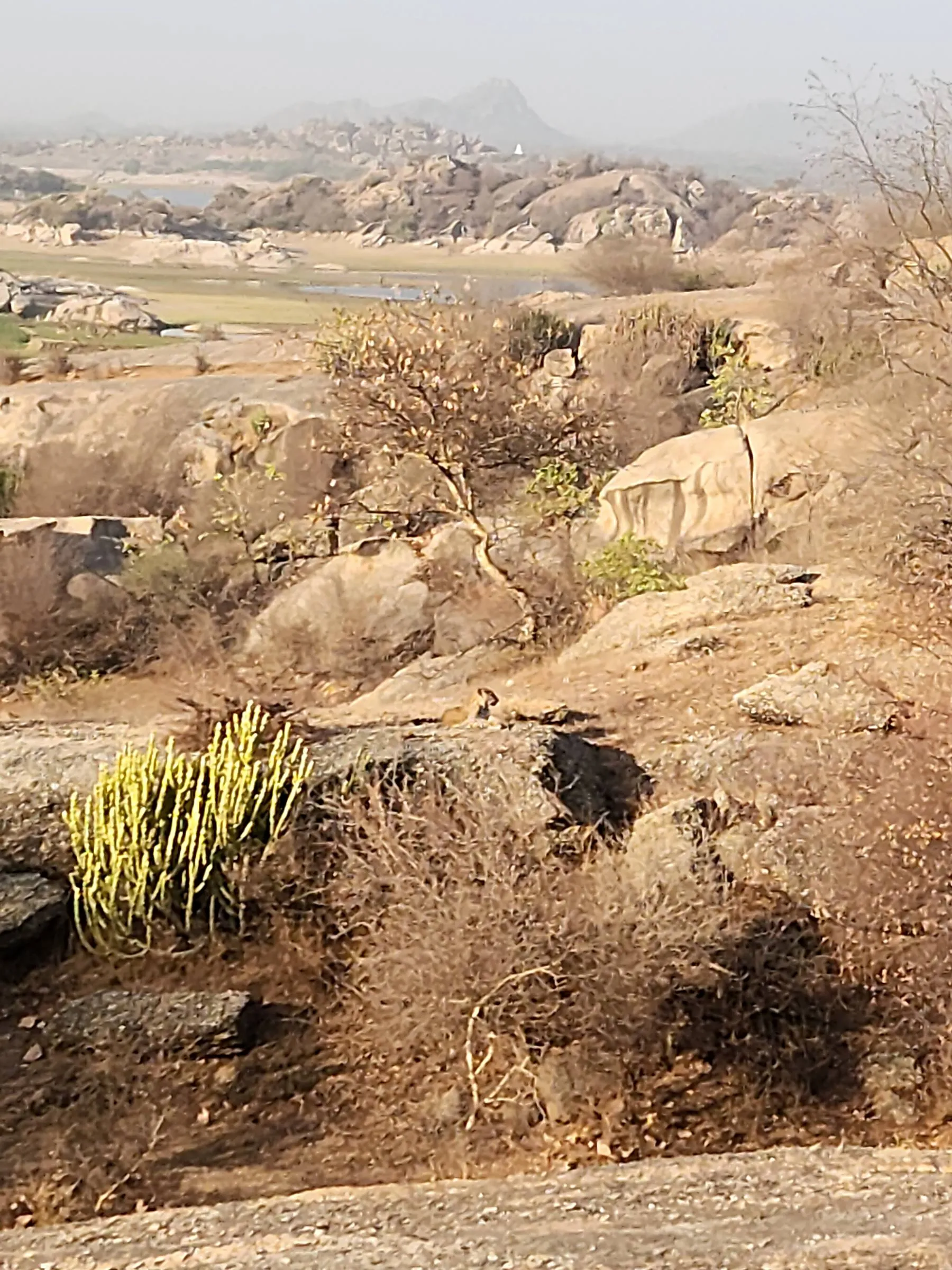 Rounded granite hills falling away to open water, a pointed peak on the far horizon