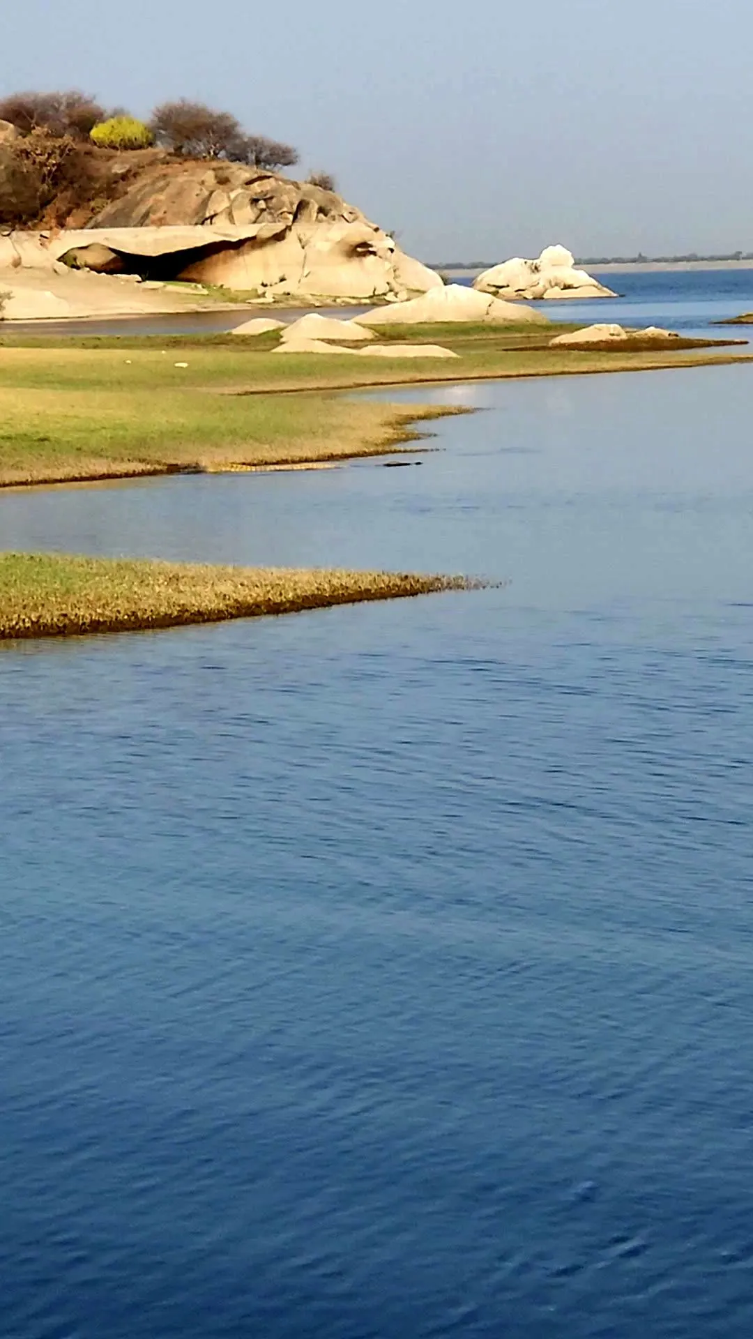The shoreline of Jawai Dam, water running out flat between grass banks and weathered rock